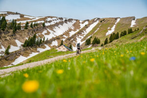 Gruppe von Radfahrern auf einem Weg durch grüne Wiesen bei Oberstaufen
