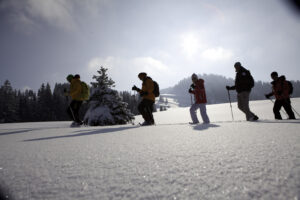 Einsteiger beim Schneeschuhwandern im verschneiten Gelände am Hündle