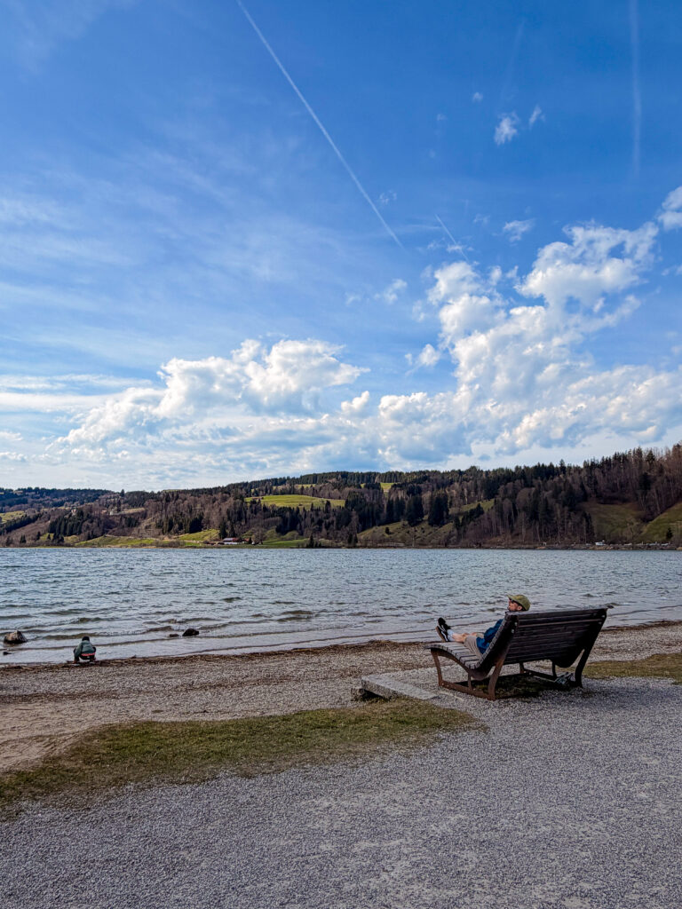 Panorama-Blick auf den Großen Alpsee bei Immenstadt im Sommer.