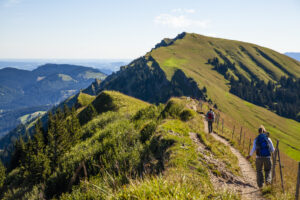 Wanderung durch die unberührte Natur im Hochmoor am Imberg bei Steibis.