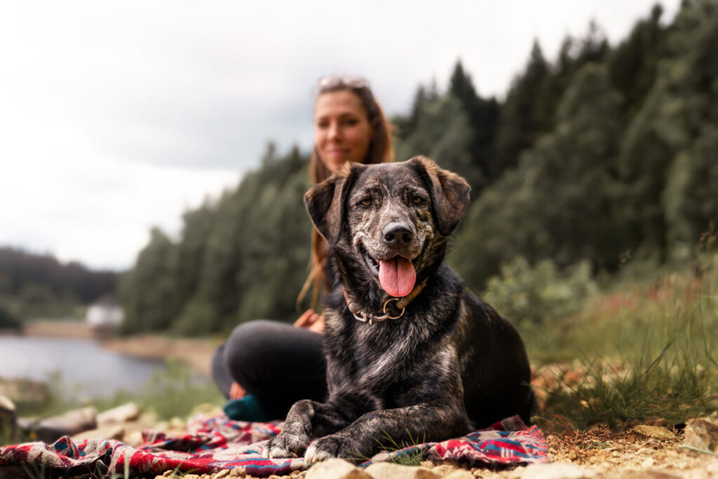 Eine Person mit Hund beim Spaziergang in Oberstaufen.