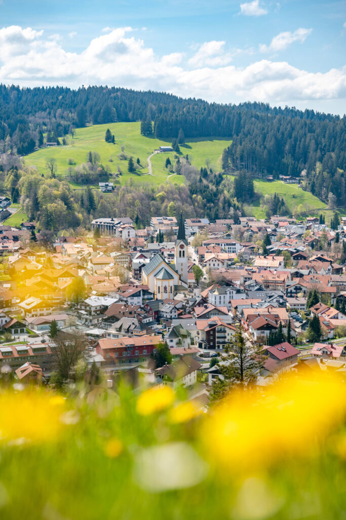 Blick über eine blühende Löwenzahnwiese im Vordergrund auf den Ort Oberstaufen und die grünen Allgäuer Hügel im Frühling.