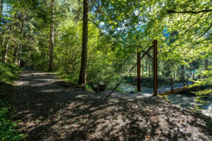 Eine schmale Hängebrücke führt über einen Gebirgsbach direkt in den dichten, lichtdurchfluteten Bergwald im Allgäu