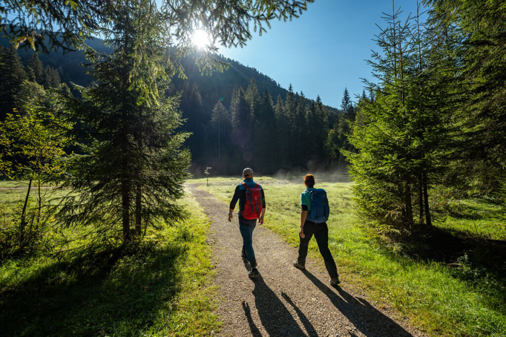 Zwei Personen wandern an einem sonnigen Morgen auf einem schattigen Waldweg entlang einer nebligen Wiese in Oberstaufen.