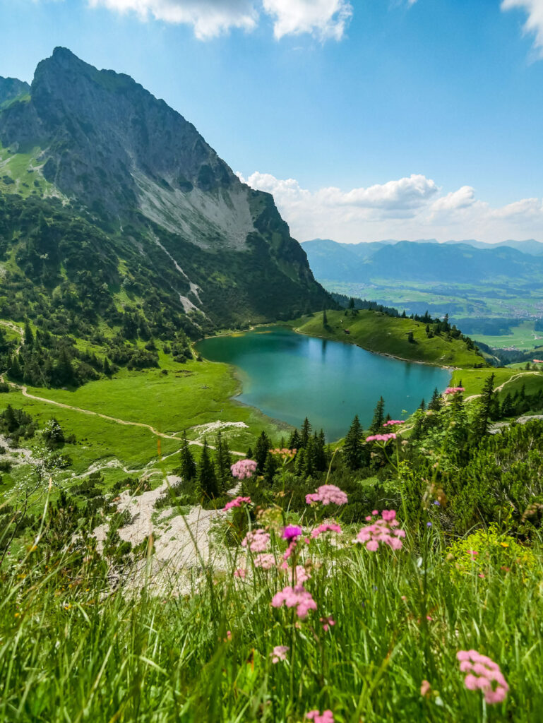 Der tiefgrüne Gaisalpsee unterhalb des Rubihorns bei Oberstdorf mit pinken Almblumen auf einer Bergwiese im Vordergrund.